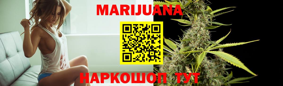 Бошки марихуана планчик  Канабис план  Чайковский 